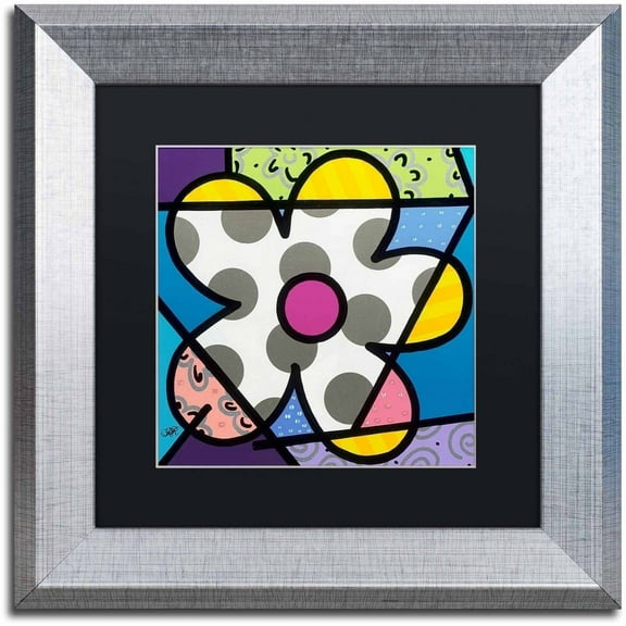 Trademark Fine Art 'Big Flower III' Canvas Art by Roberto Rafael, Black Matte, Silver Frame