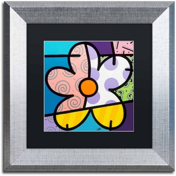 Trademark Fine Art 'Big Flower IV' Canvas Art by Roberto Rafael, Black Matte, Silver Frame
