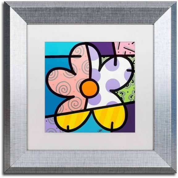 Trademark Fine Art 'Big Flower IV' Canvas Art by Roberto Rafael, White Matte, Silver Frame
