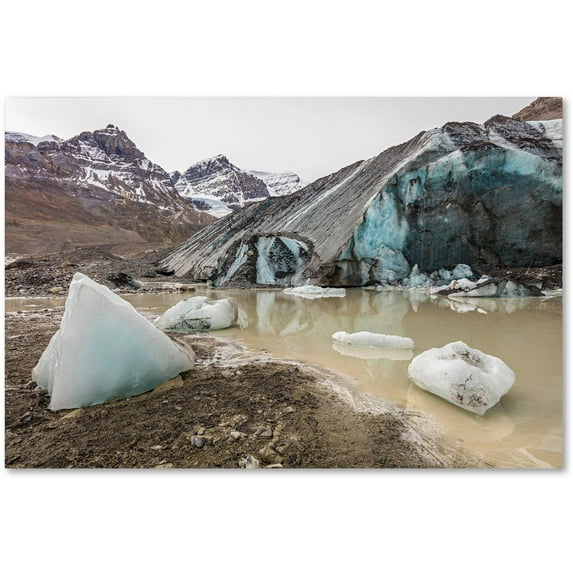 Trademark Fine Art 'Big Glacier Chunks' Canvas Art by Pierre Leclerc