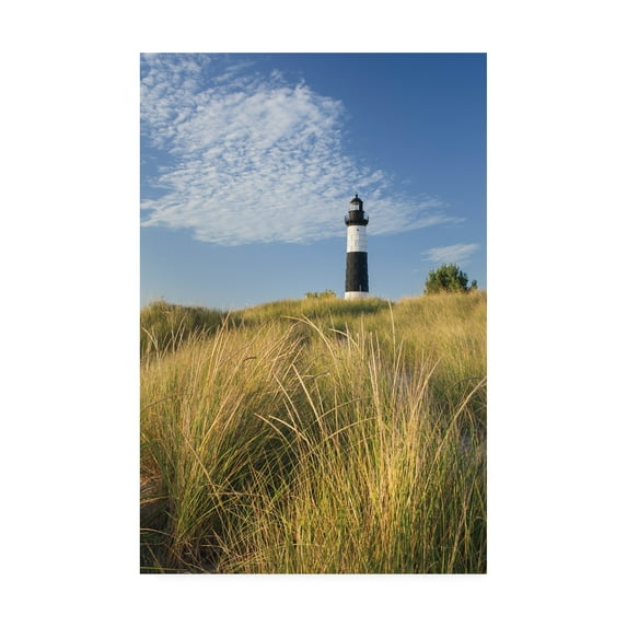 Trademark Fine Art 'Big Sable Point Lighthouse I' Canvas Art by Alan Majchrowicz