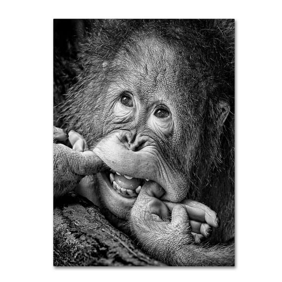 Trademark Fine Art 'Big Smile Please' Canvas Art by Angela Muliani Hartojo