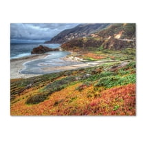 Trademark Fine Art "Bigsur California" Canvas Art by Pierre Leclerc