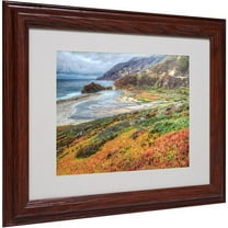 Trademark Fine Art "Bigsur California" Matted Framed Art by Pierre Leclerc