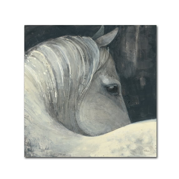 Trademark Fine Art 'Bijou' Canvas Art by Albena Hristova