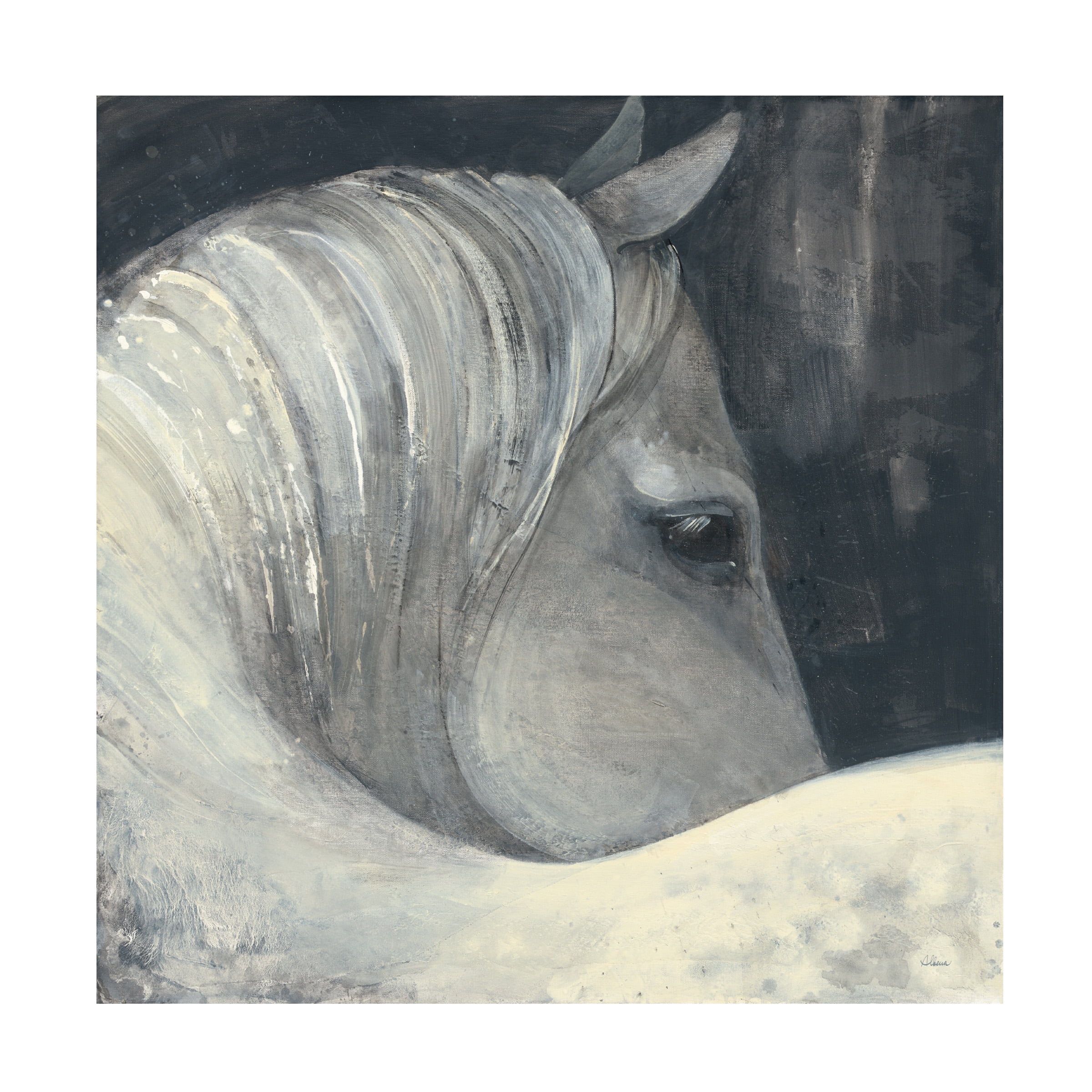Trademark Fine Art 'Bijou Horse' Canvas Art by Albena Hristova