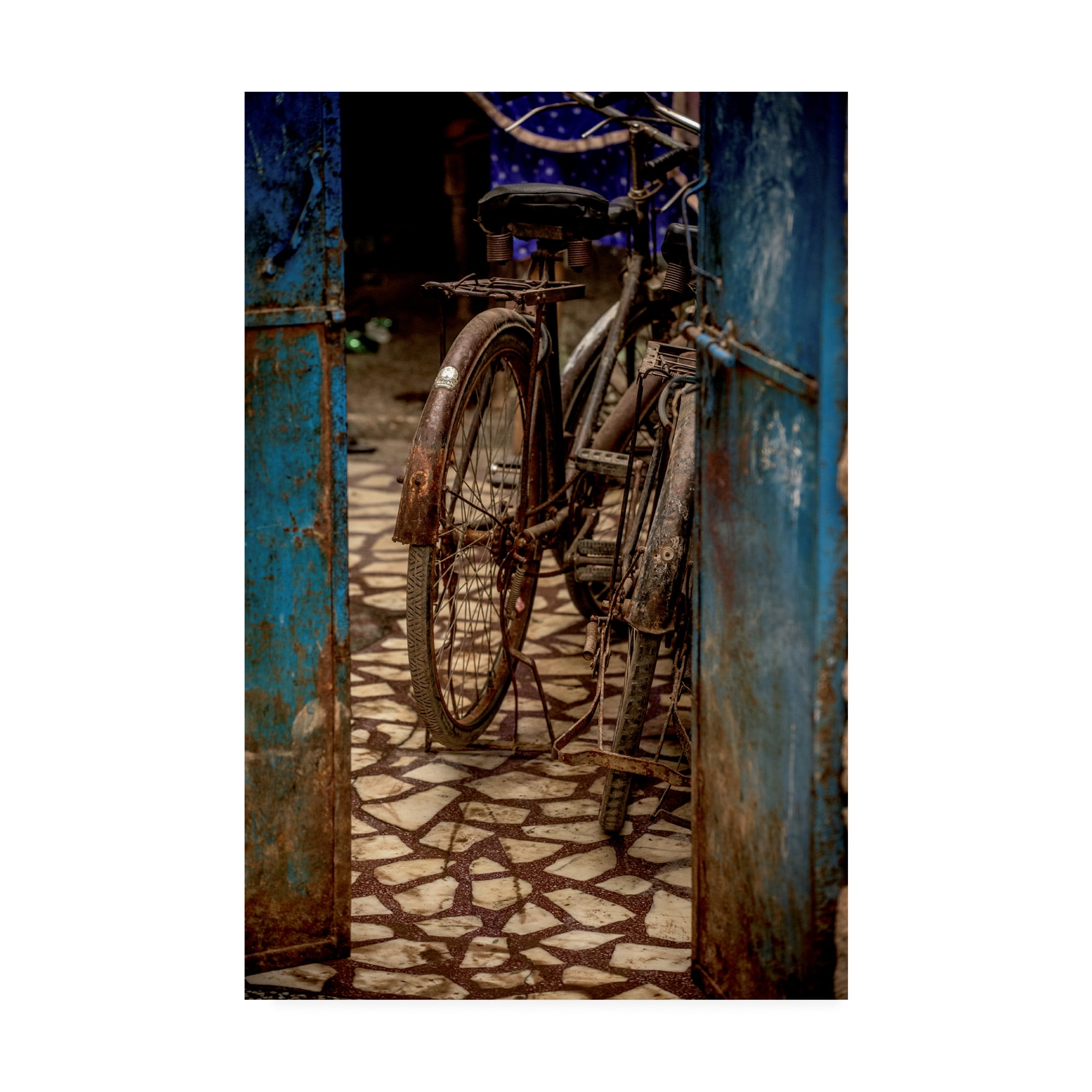 Trademark Fine Art 'Bike 3 Photo' Canvas Art by Dan Ballard