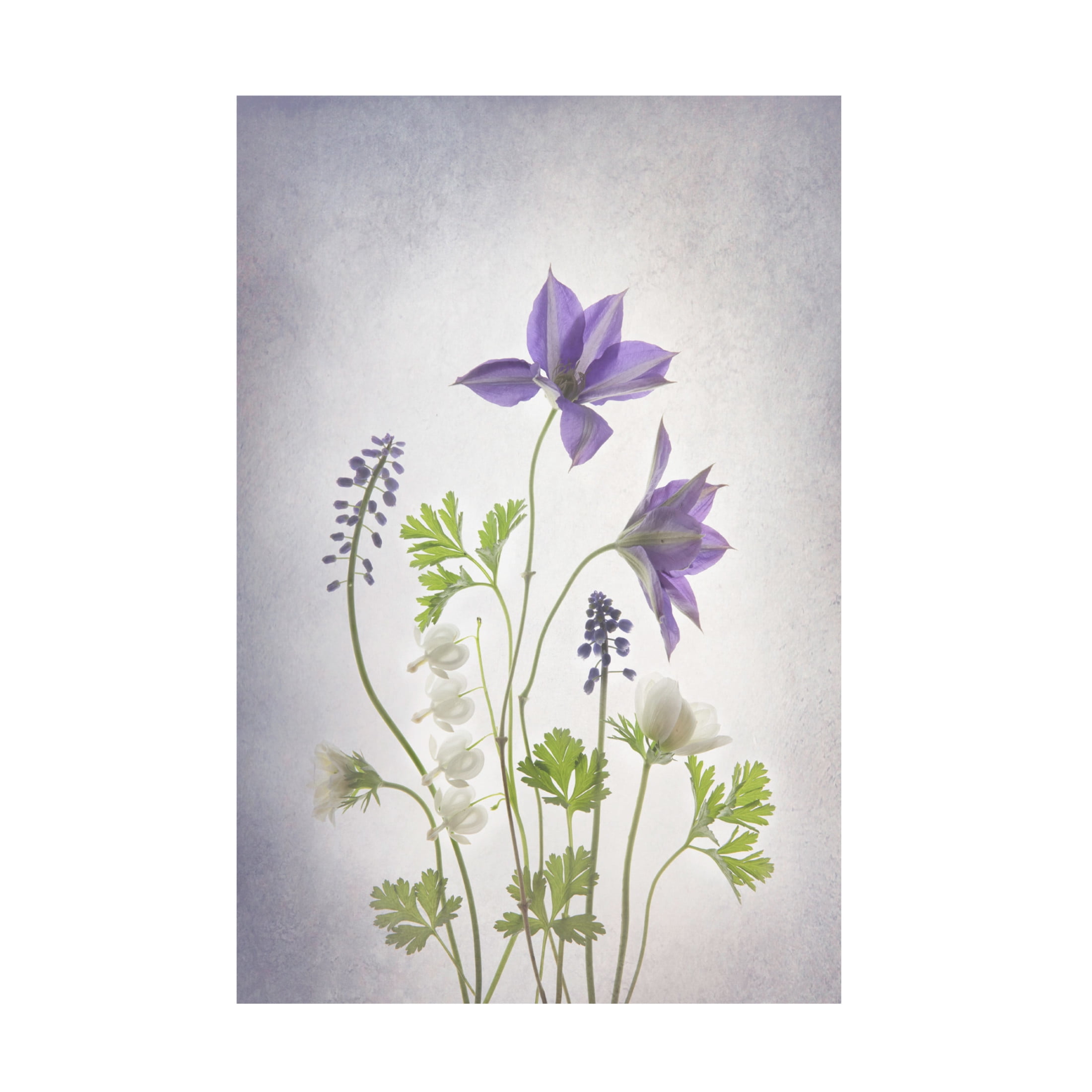 Trademark Fine Art Binbin L. Spring Canvas Wall Art
