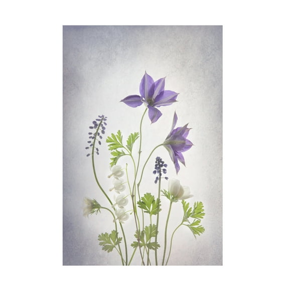 Trademark Fine Art Binbin L. Spring Canvas Wall Art