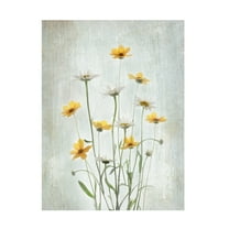 Trademark Fine Art Binbin L. Summer Flowers Canvas Wall Art