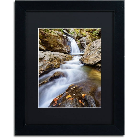 Trademark Fine Art "Bingham Falls" Canvas Art by Michael Blanchette Photography Black Matte, Black Frame