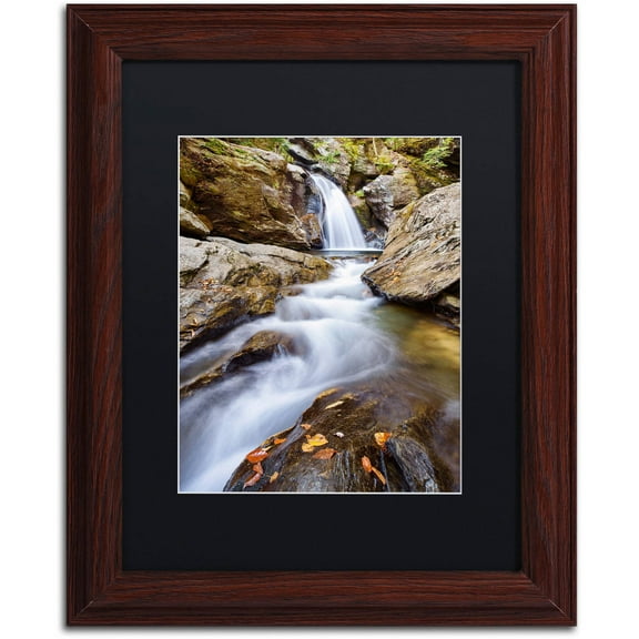 Trademark Fine Art "Bingham Falls" Canvas Art by Michael Blanchette Photography Black Matte, Wood Frame