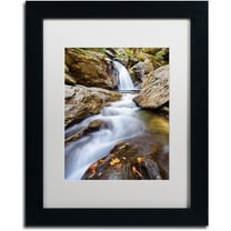 Trademark Fine Art "Bingham Falls" Canvas Art by Michael Blanchette Photography White Matte, Black Frame