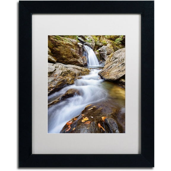 Trademark Fine Art "Bingham Falls" Canvas Art by Michael Blanchette Photography White Matte, Black Frame