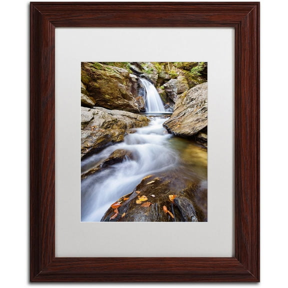 Trademark Fine Art "Bingham Falls" Canvas Art by Michael Blanchette Photography White Matte, Wood Frame