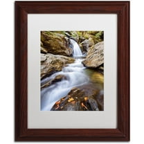 Trademark Fine Art "Bingham Falls" Canvas Art by Michael Blanchette Photography White Matte, Wood Frame