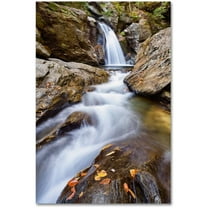 Trademark Fine Art "Bingham Falls" Canvas Art by Michael Blanchette Photography