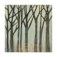 thumbnail image 1 of Trademark Fine Art 'Birch Line I' Canvas Art by Jennifer Goldberger, 1 of 4