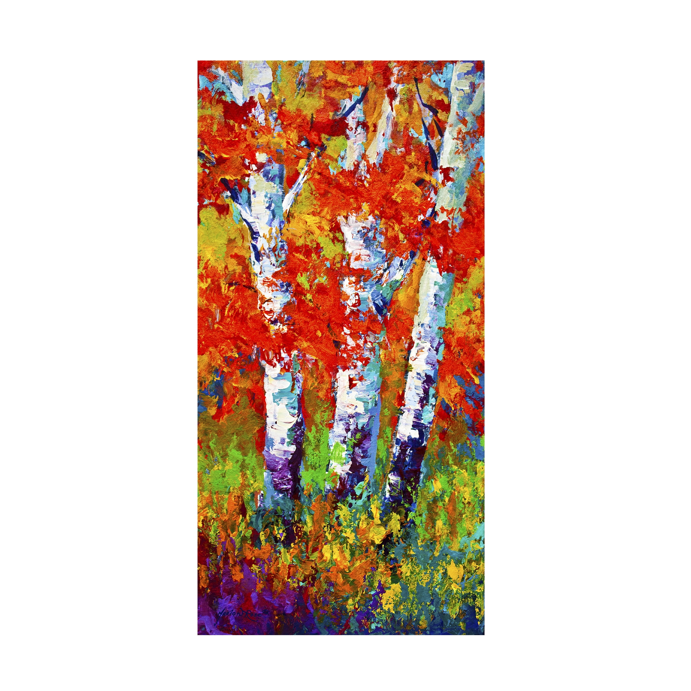 Trademark Fine Art Marion Rose Birch Three Canvas Wall Art - 24x47
