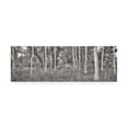 thumbnail image 1 of Trademark Fine Art 'Birch Trees No.2' Canvas Art by Alan Blaustei, 1 of 3