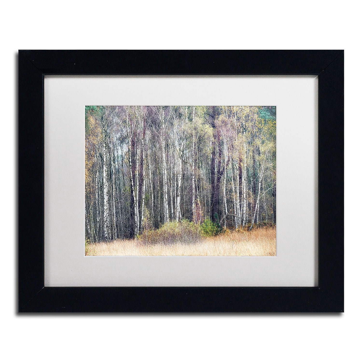 Trademark Fine Art 'Birches' Canvas Art by Cora Niele, White Matte, Black Frame