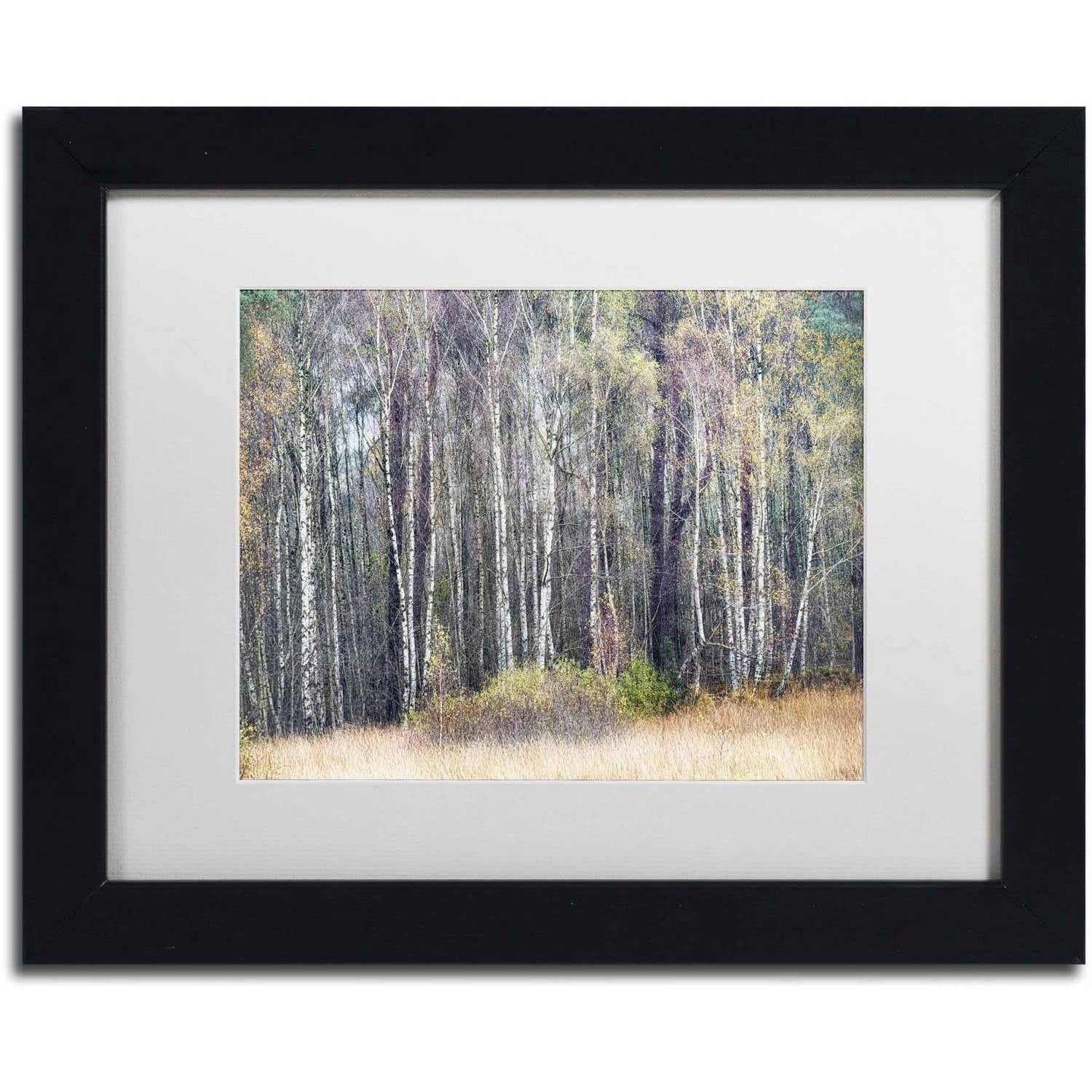 Trademark Fine Art 'Birches' Canvas Art by Cora Niele, White Matte, Black Frame