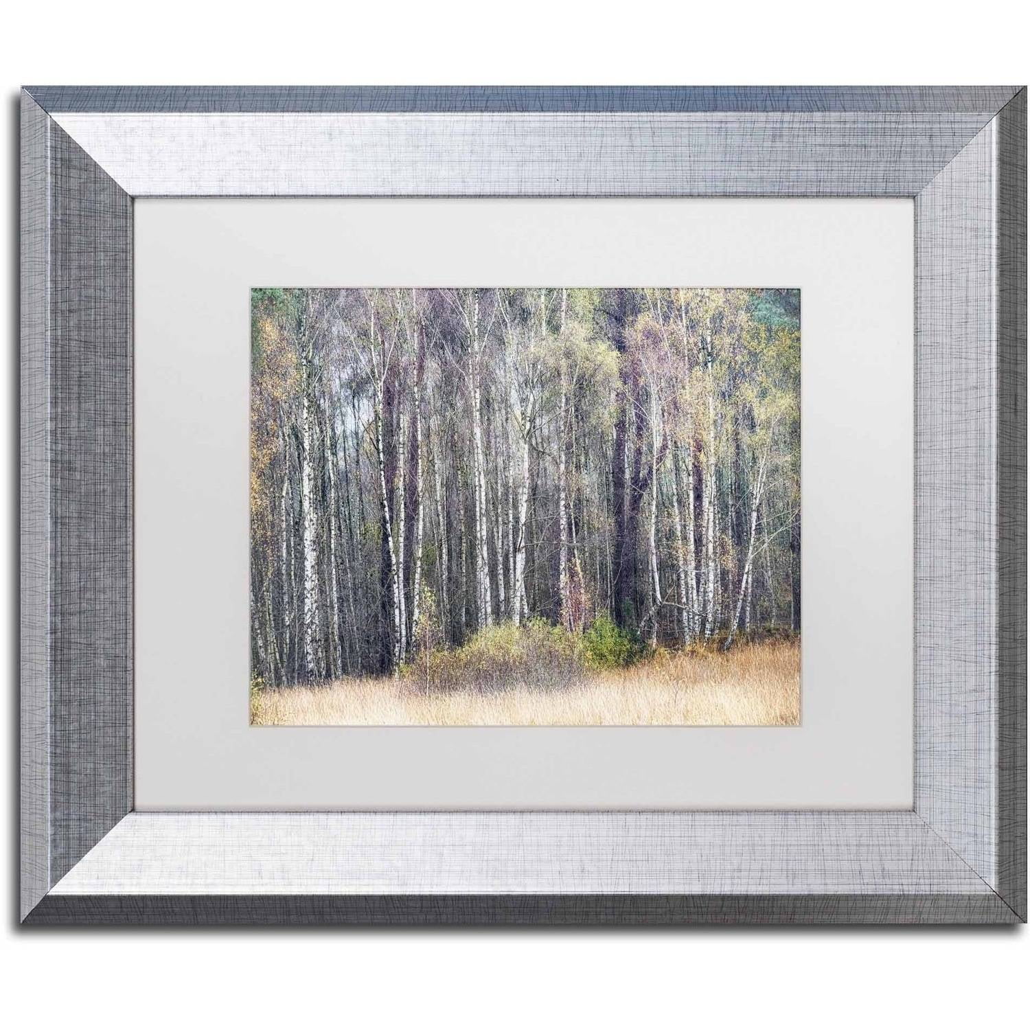 Trademark Fine Art 'Birches' Canvas Art by Cora Niele, White Matte, Silver Frame