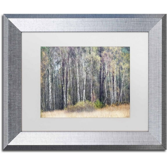 Trademark Fine Art 'Birches' Canvas Art by Cora Niele, White Matte, Silver Frame