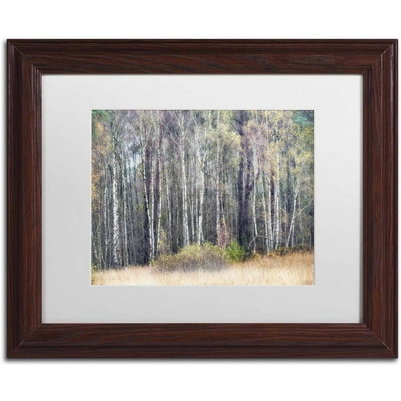 Trademark Fine Art 'Birches' Canvas Art by Cora Niele, White Matte, Wood Frame