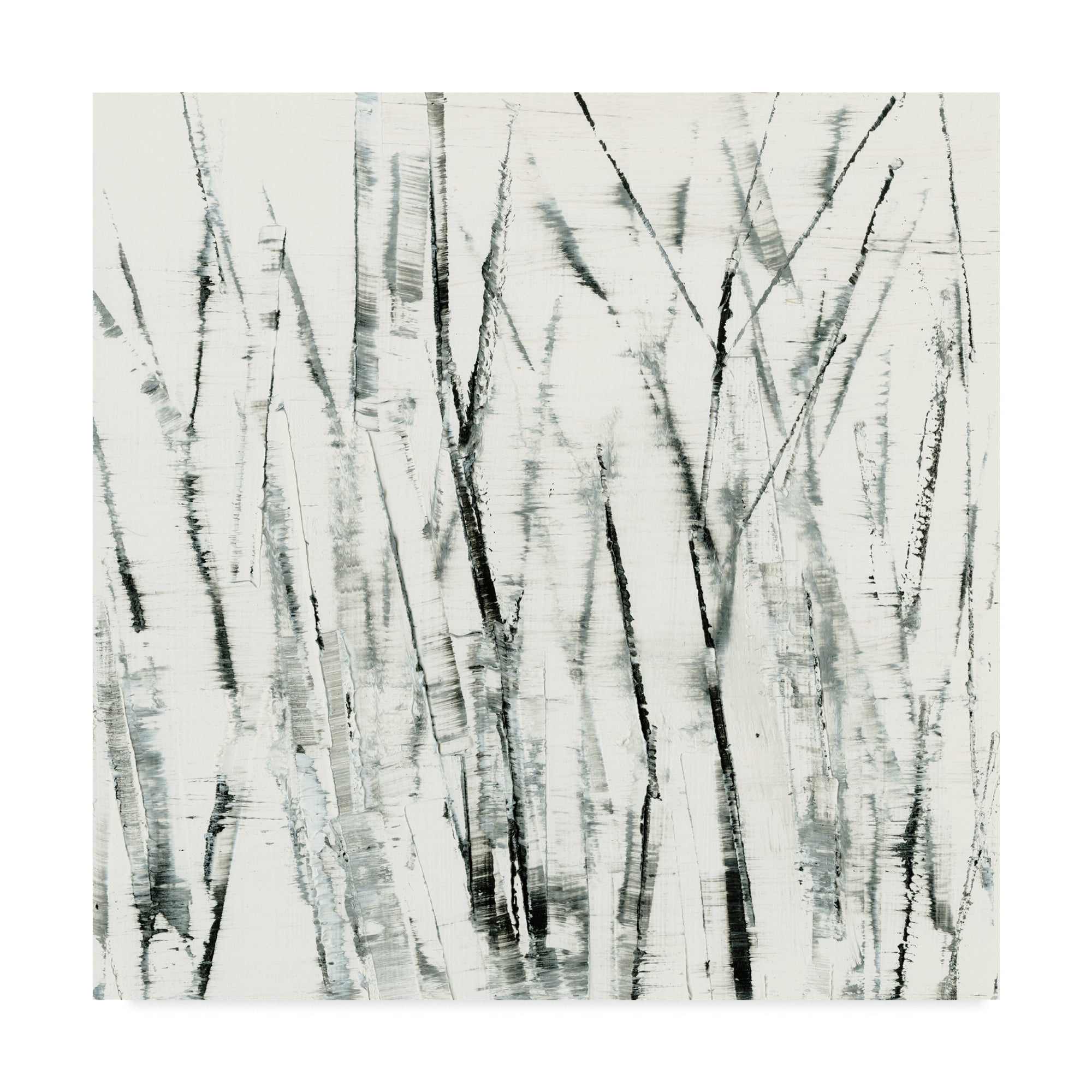 Trademark Fine Art 'Birches I' Canvas Art by Sharon Gordon
