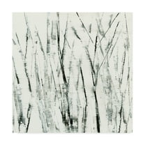 Trademark Fine Art 'Birches I' Canvas Art by Sharon Gordon