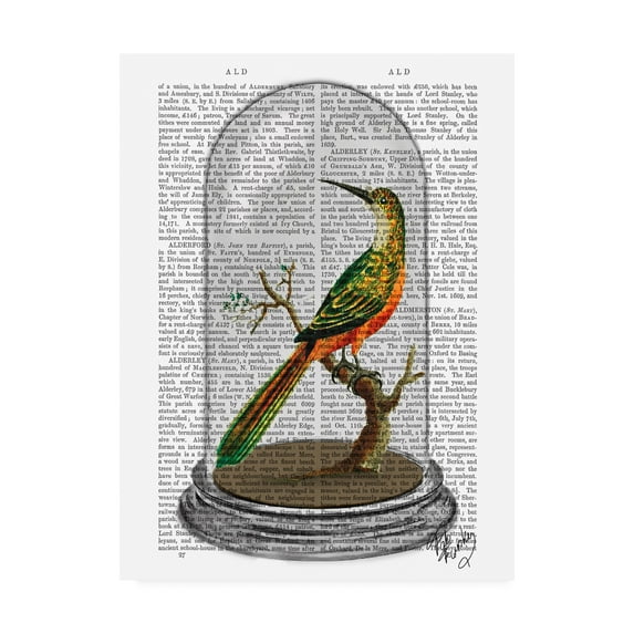 Trademark Fine Art 'Bird In Bell Jar' Canvas Art by Fab Funky