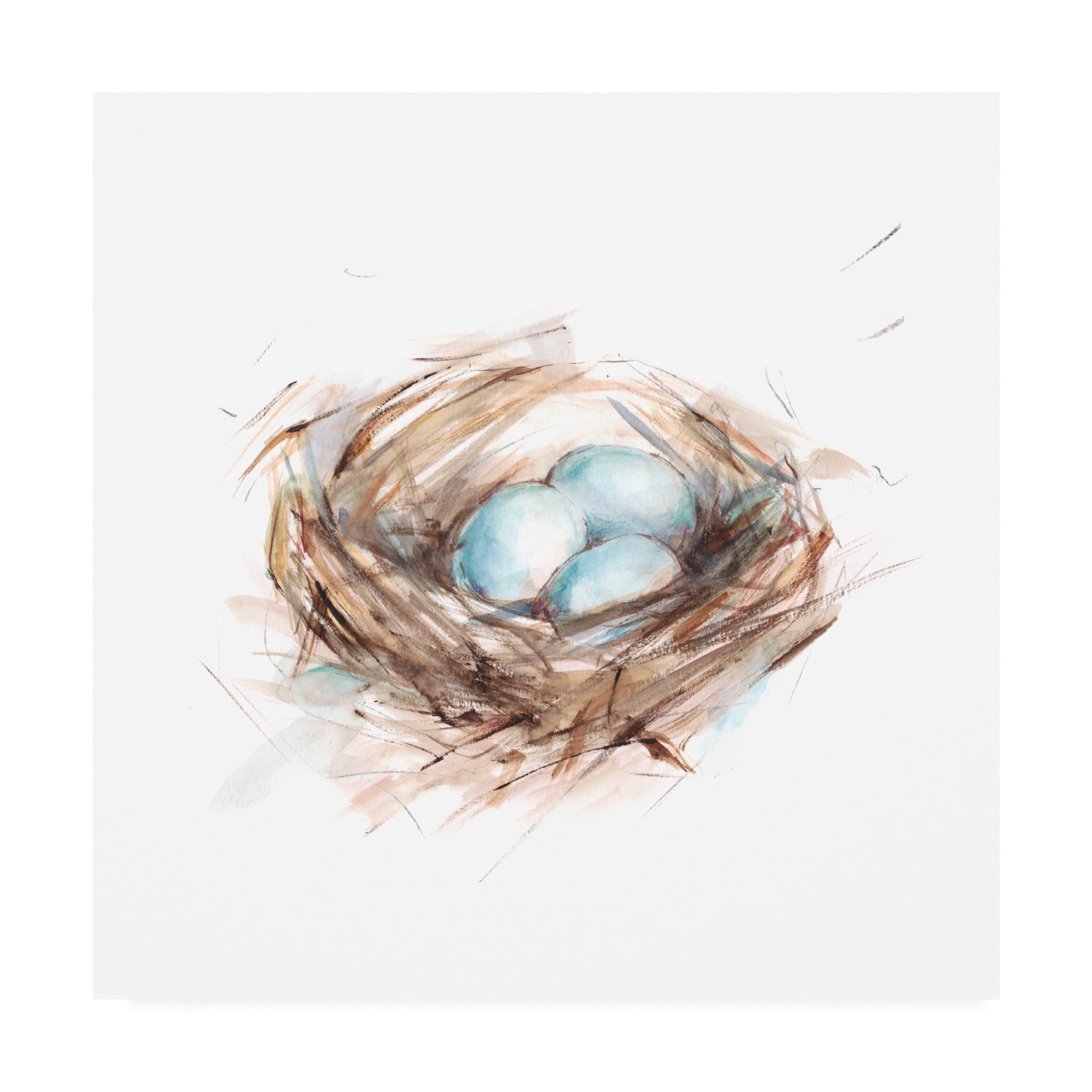 Trademark Fine Art 'Bird Life III' Canvas Art by Ethan Harper