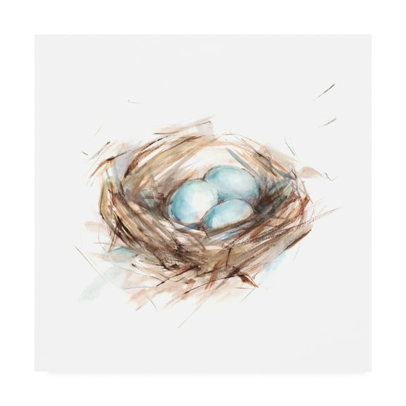 Trademark Fine Art 'Bird Life III' Canvas Art by Ethan Harper