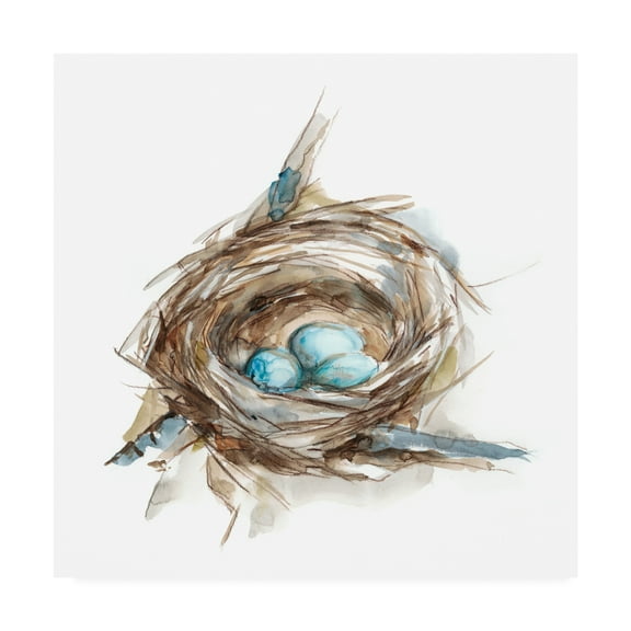 Trademark Fine Art 'Bird Nest Study II' Canvas Art by Ethan Harper