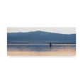 thumbnail image 1 of Trademark Fine Art 'Bird On A Lake 2' Canvas Art by Jason Matias, 1 of 3