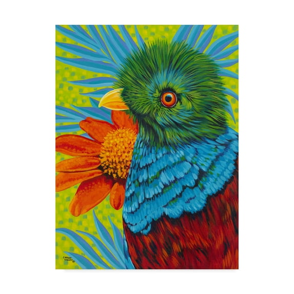 Trademark Fine Art 'Bird in the Tropics II' Canvas Art by Carolee Vitaletti