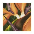 thumbnail image 1 of Trademark Fine Art 'Bird of Paradise Tile II' Canvas Art by Jason Higby, 1 of 4