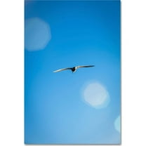 Trademark Fine Art "Bird of Serenity" Canvas Art by Yale Gurney