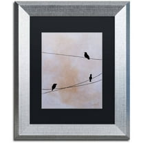 Trademark Fine Art 'Bird on Wire White' Canvas Art by Nicole Dietz, Black Matte, Silver Frame