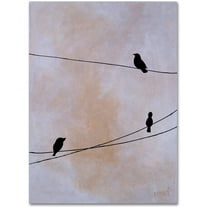 Trademark Fine Art 'Bird on Wire White' Canvas Art by Nicole Dietz