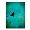 thumbnail image 1 of Trademark Fine Art "Bird's Attention" Canvas Art by Nicole Dietz, 1 of 3