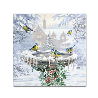 Trademark Fine Art 'Birdbath Flat' Canvas Art by The Macneil Studio