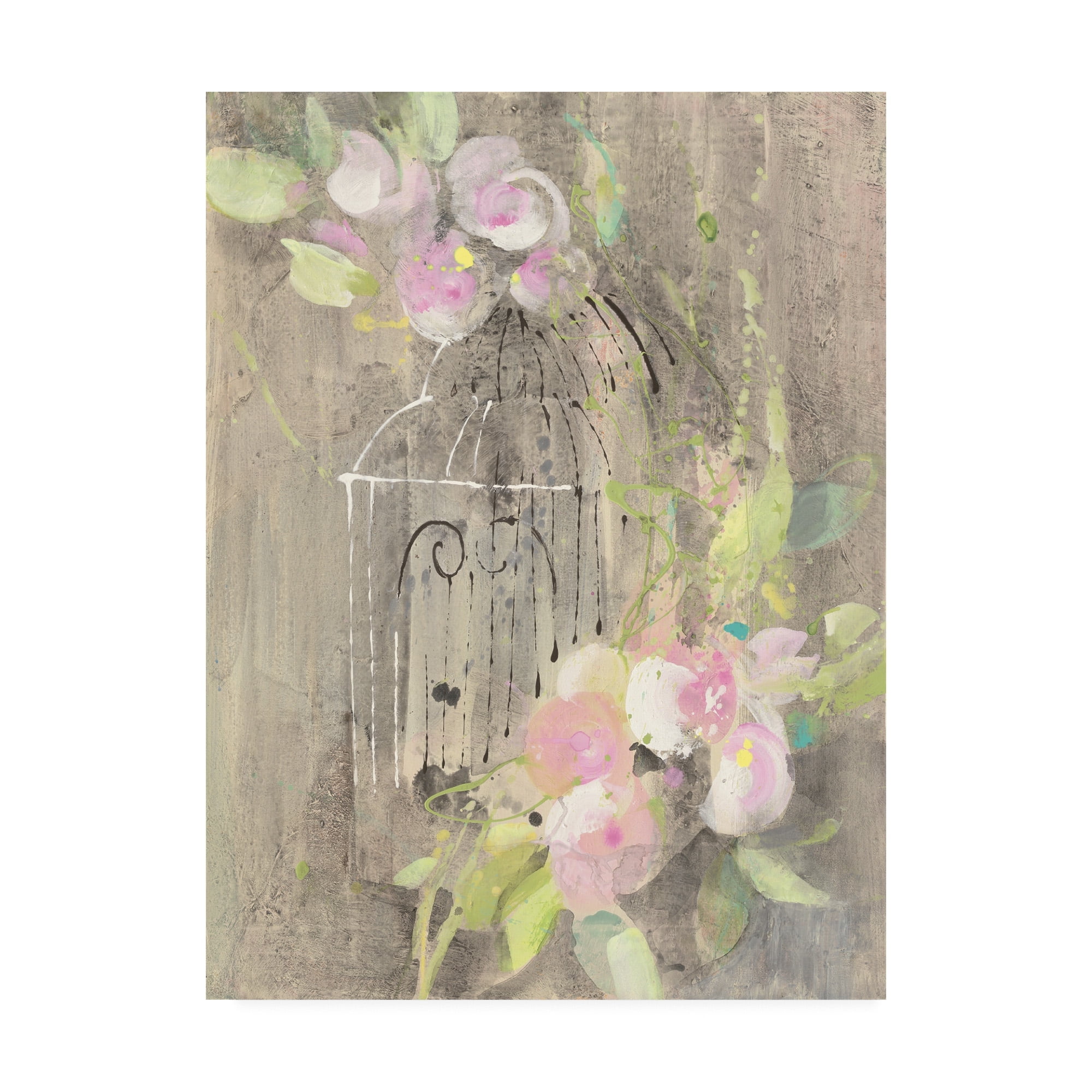 Trademark Fine Art 'Birdcage Floral Ii' Canvas Art by Albena Hristova