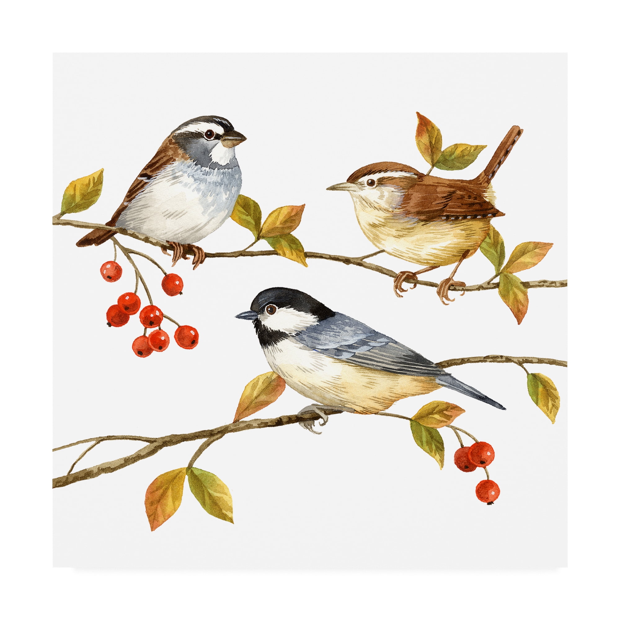 Trademark Fine Art 'Birds And Berries I' Canvas Art by Jane Maday