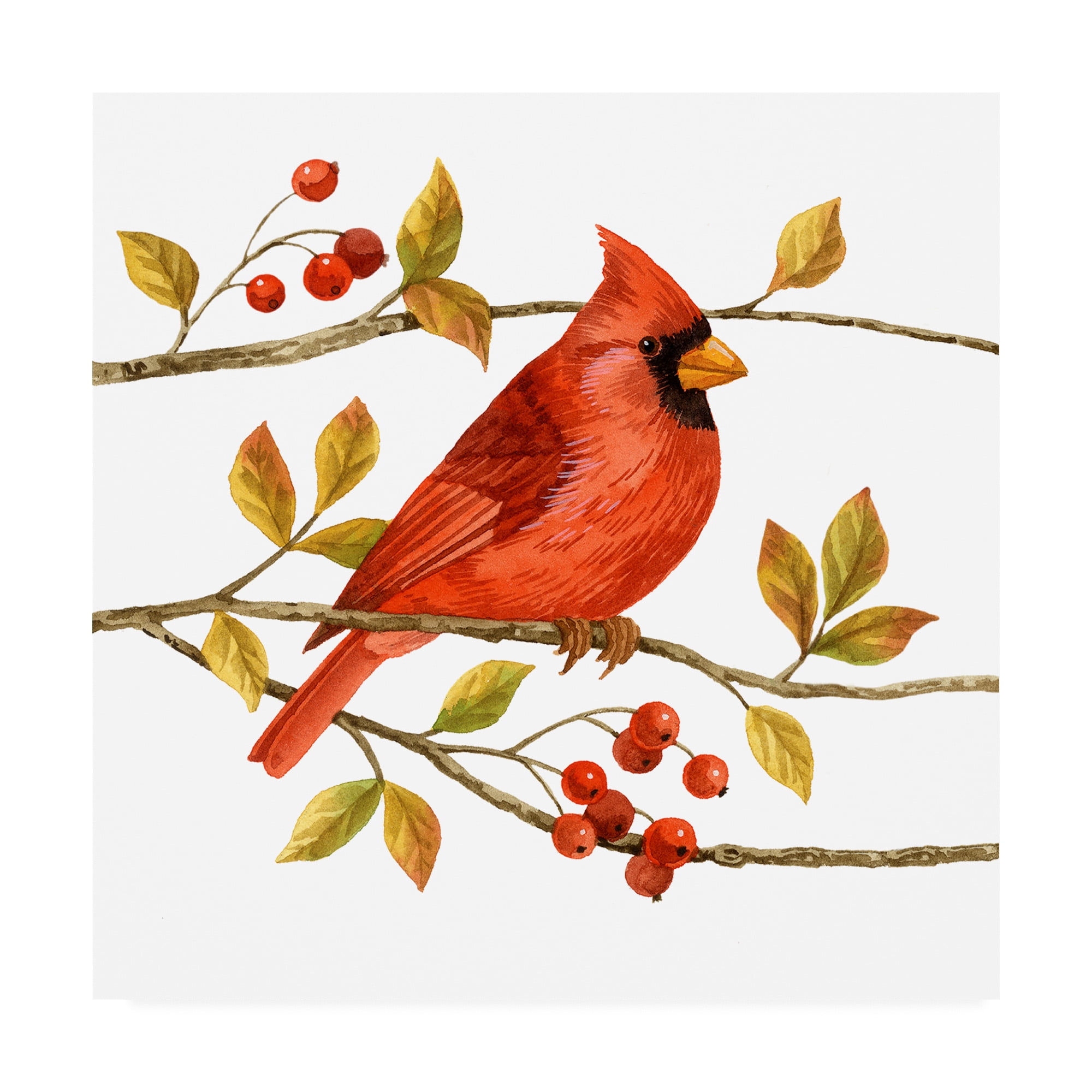 14" x 14" Red Cardinal on Branch Canvas Art