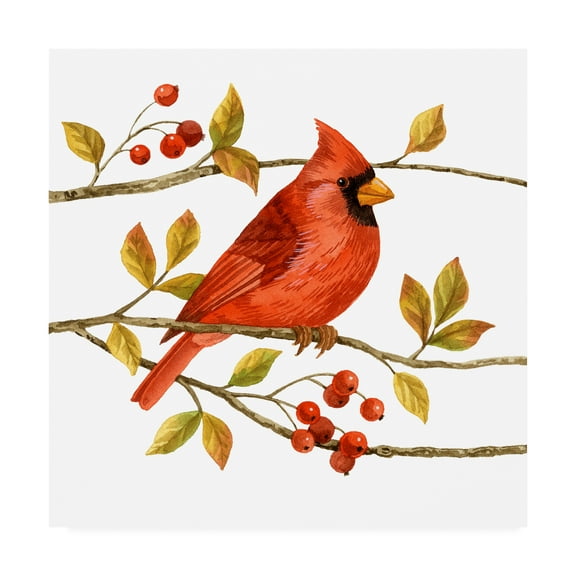 Trademark Fine Art 'Birds And Berries III' Canvas Art by Jane Maday