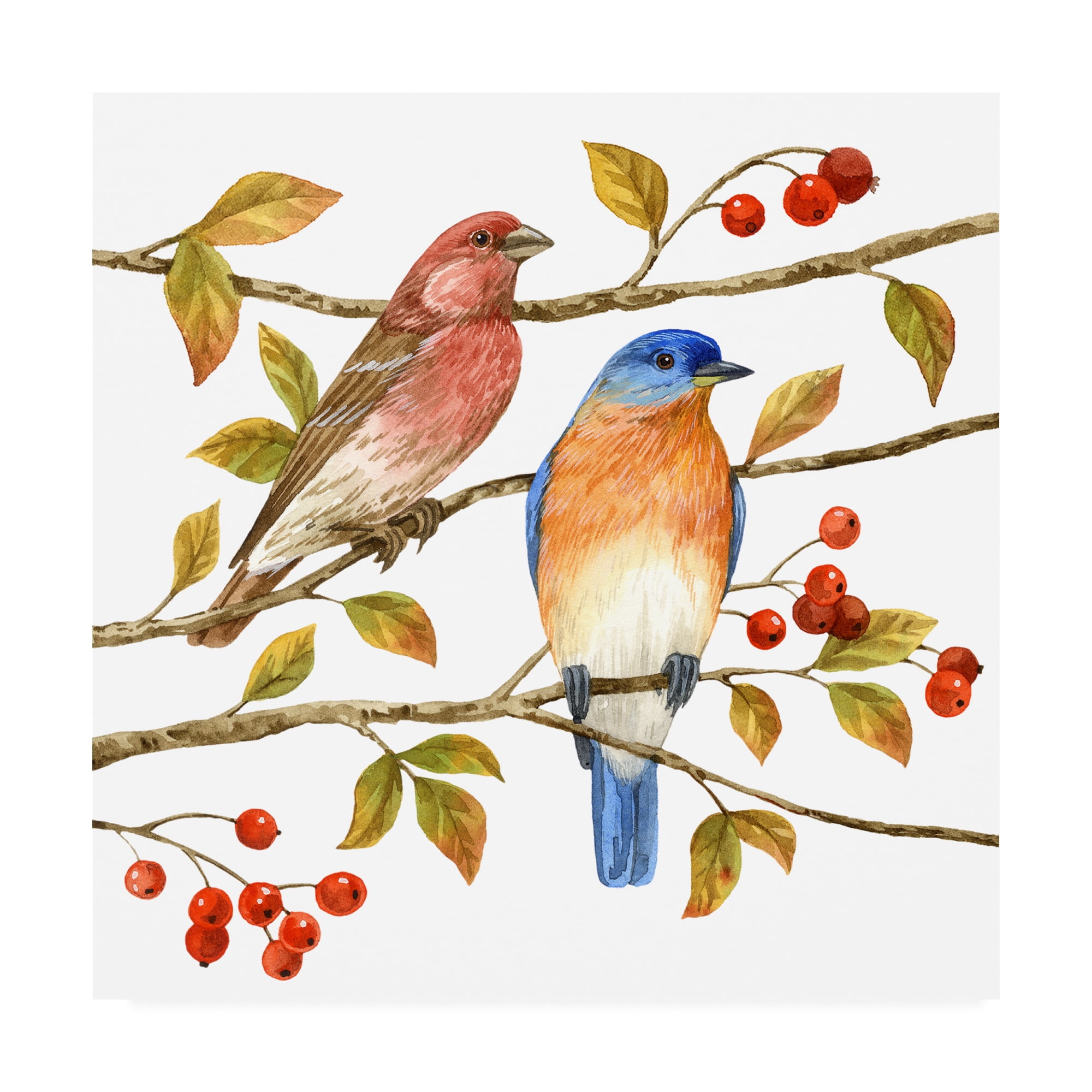 Trademark Fine Art 'Birds And Berries IV' Canvas Art by Jane Maday