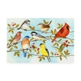 thumbnail image 1 of Trademark Fine Art 'Birds And Berries V' Canvas Art by Jane Maday, 1 of 3