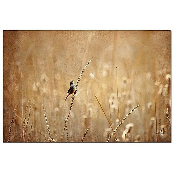 Trademark Fine Art "Birds" Canvas Art by Lois Bryan